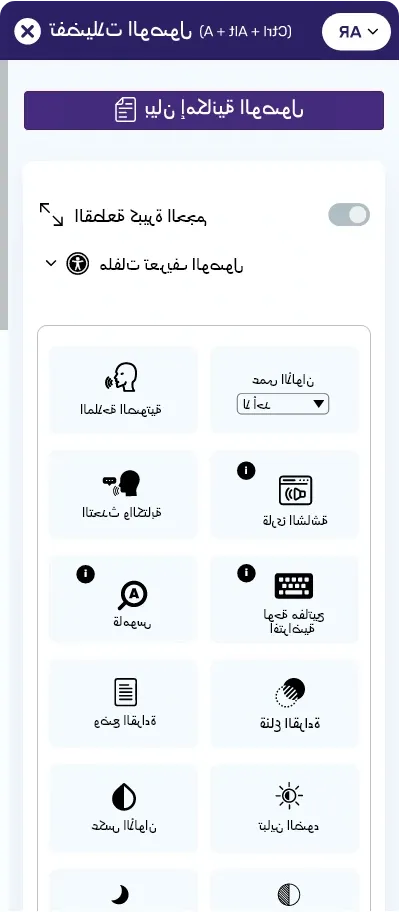 Arabic website ADA solution